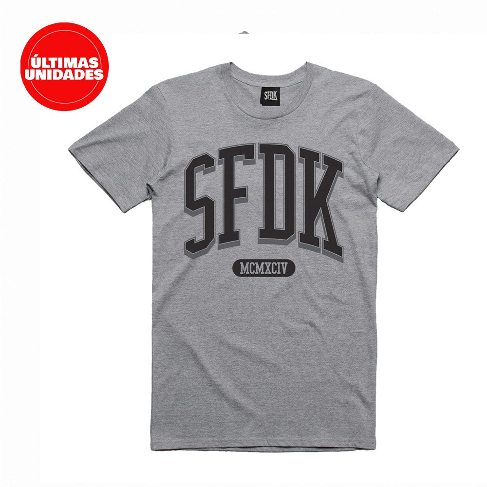 Camiseta gris COLLEGUE SFDK