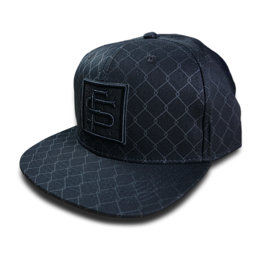 Gorra visera plana  "FENCE"